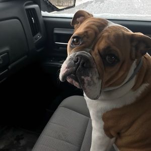 Meet your Posher, Mike